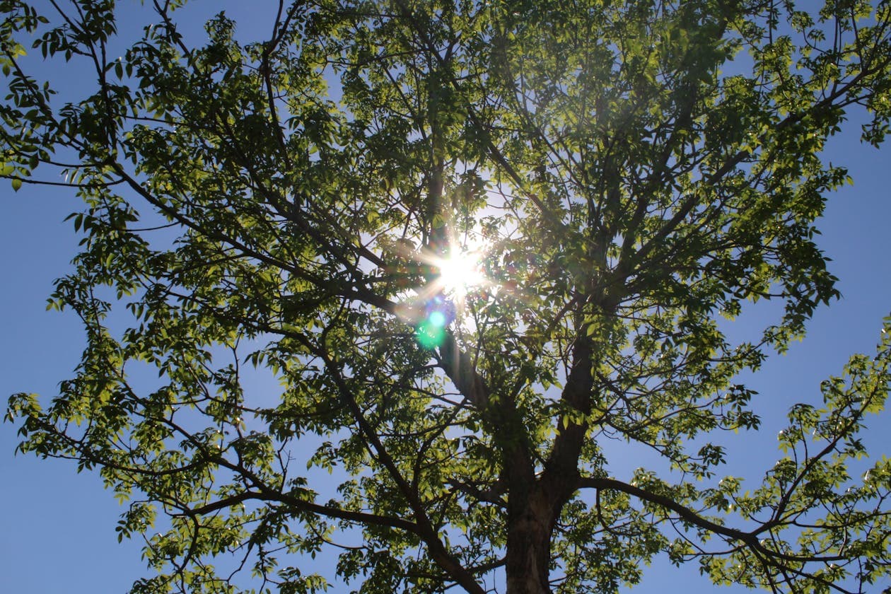 Financiamento de Energia Solar: Como Conseguir com Taxas Mínimas